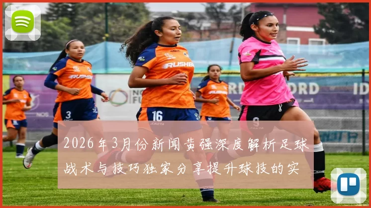 2026年3月份新闻黄强深度解析足球战术与技巧独家分享提升球技的实用心得